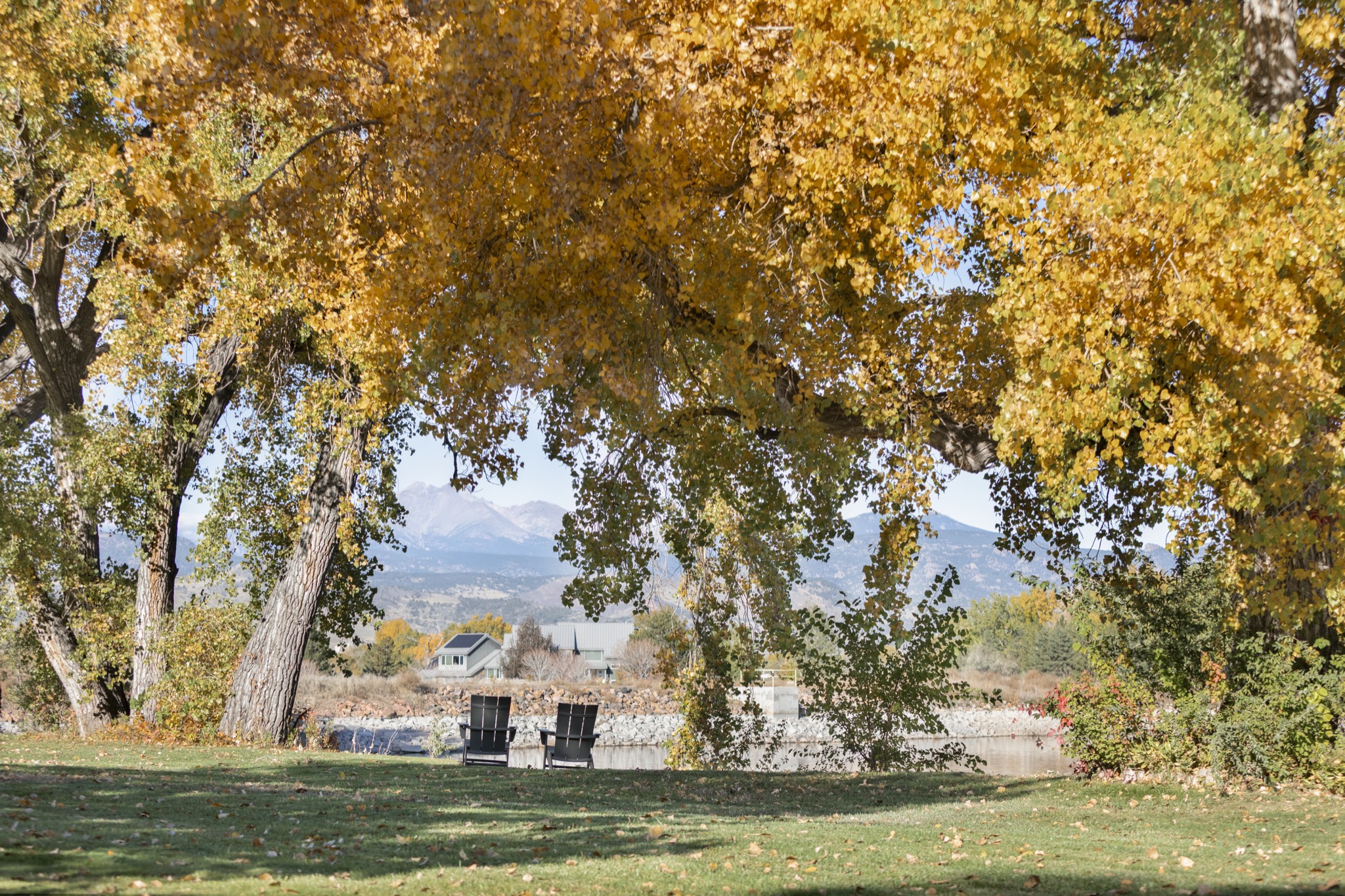 Fall trees framing the foothills and mountains