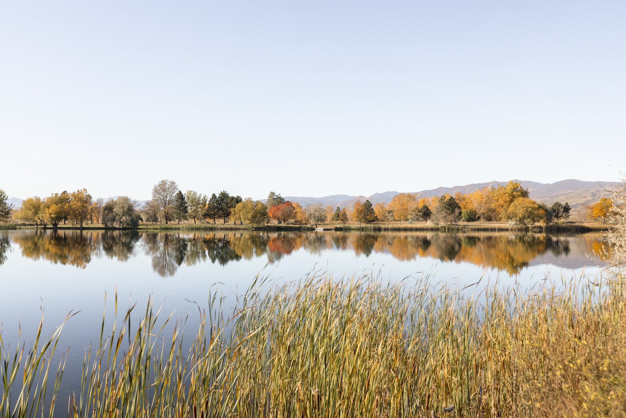 Autumn reflections on the lake